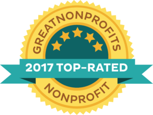 great nonprofits 2017 top rated
