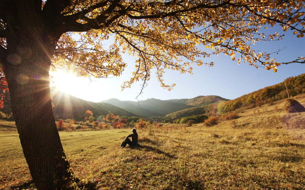 Person sits in a field enjoying a sunset during autumn