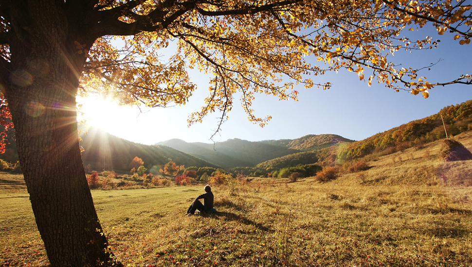 From Awareness to Action: How to Thrive Amidst Life’s Transitions - The ...