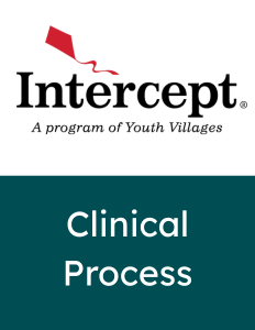 Clinical Process