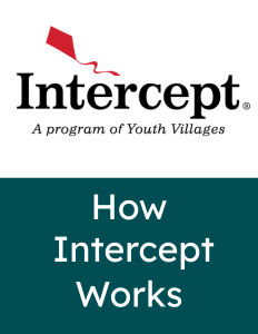 How Intercept Works